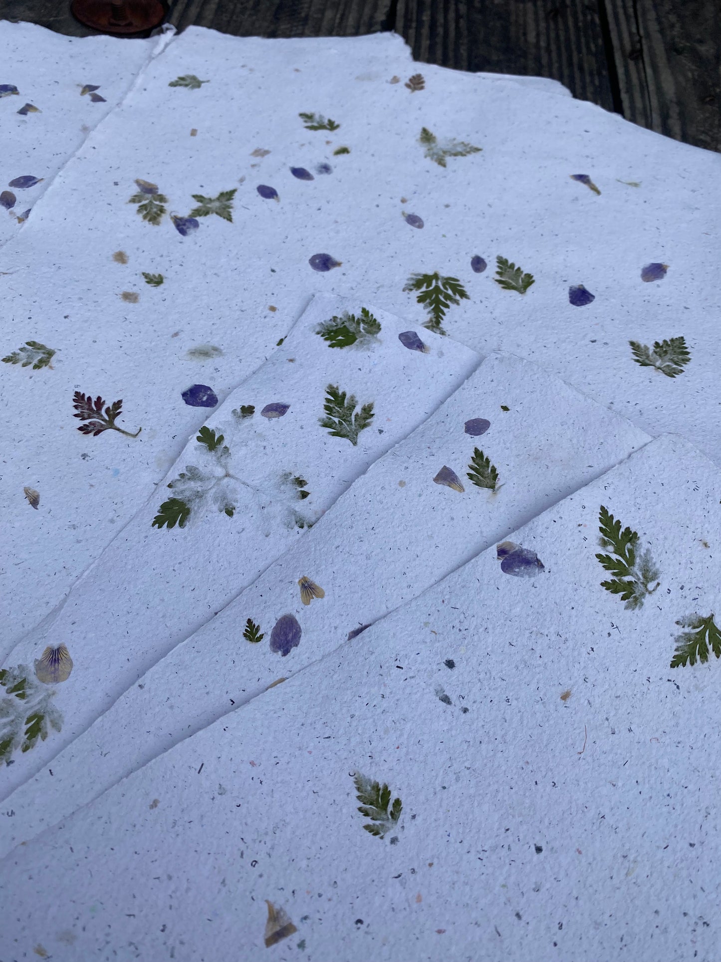 Papier Violette et Géranium sauvages