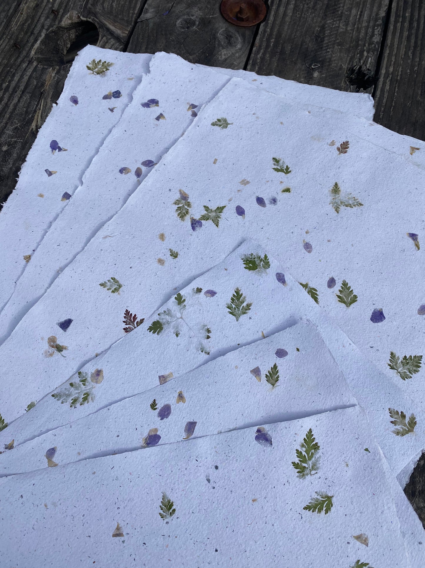 Papier Violette et Géranium sauvages