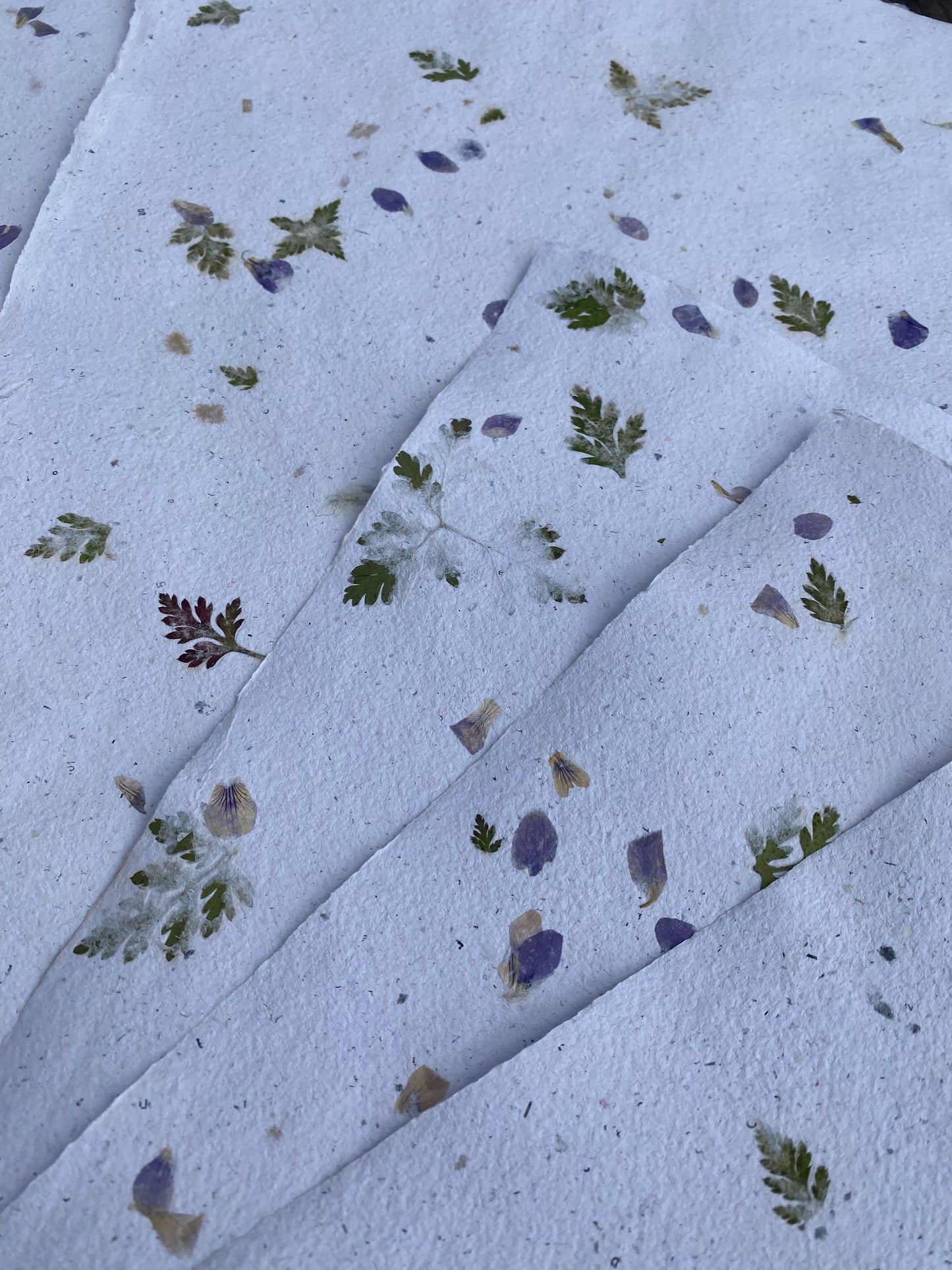 Papier Violette et Géranium sauvages
