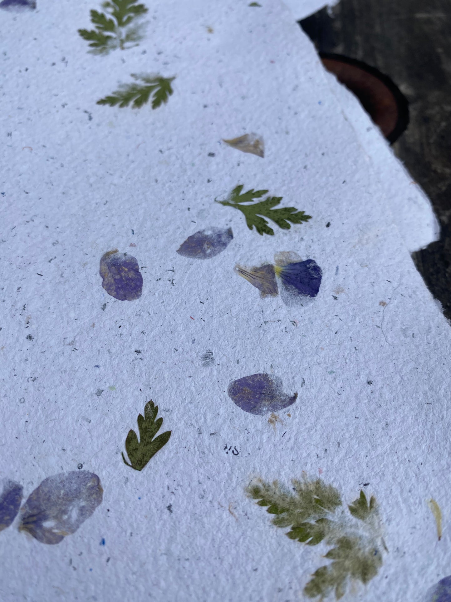 Papier Violette et Géranium sauvages