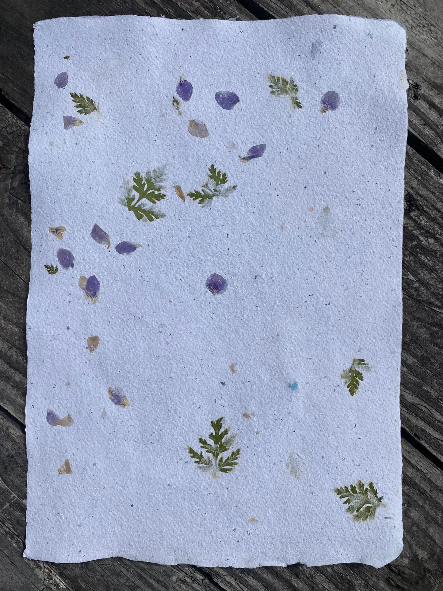 Papier Violette et Géranium sauvages