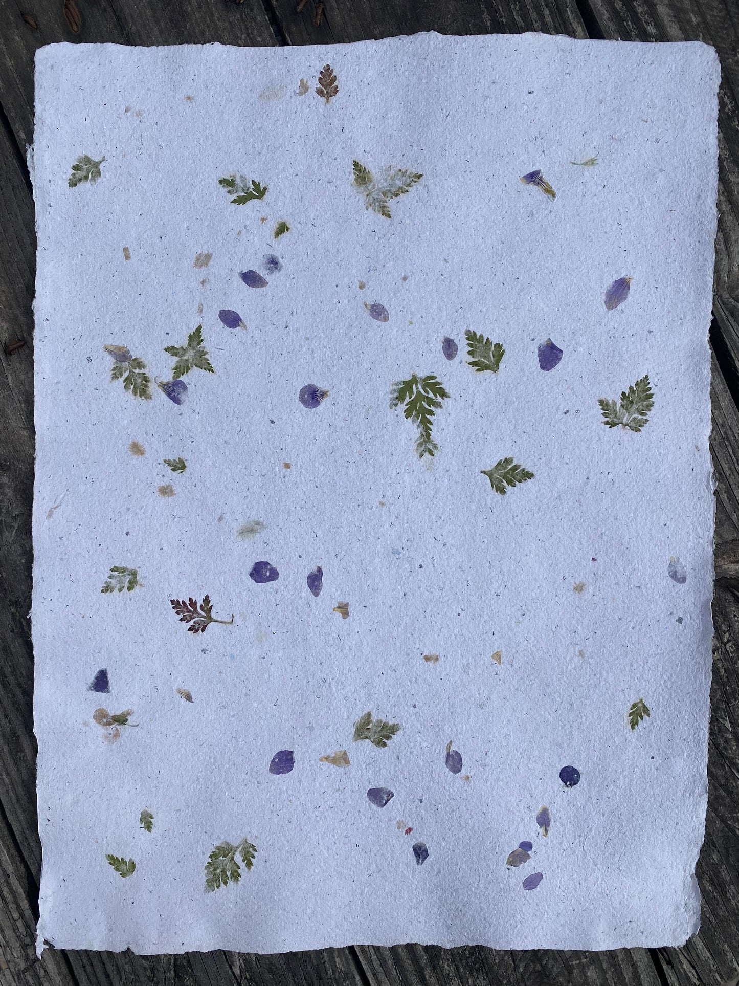 Papier Violette et Géranium sauvages
