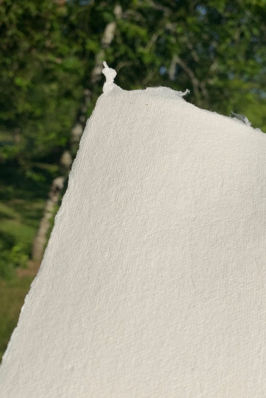 Papier coton "édition" (250-350 g/m²)
