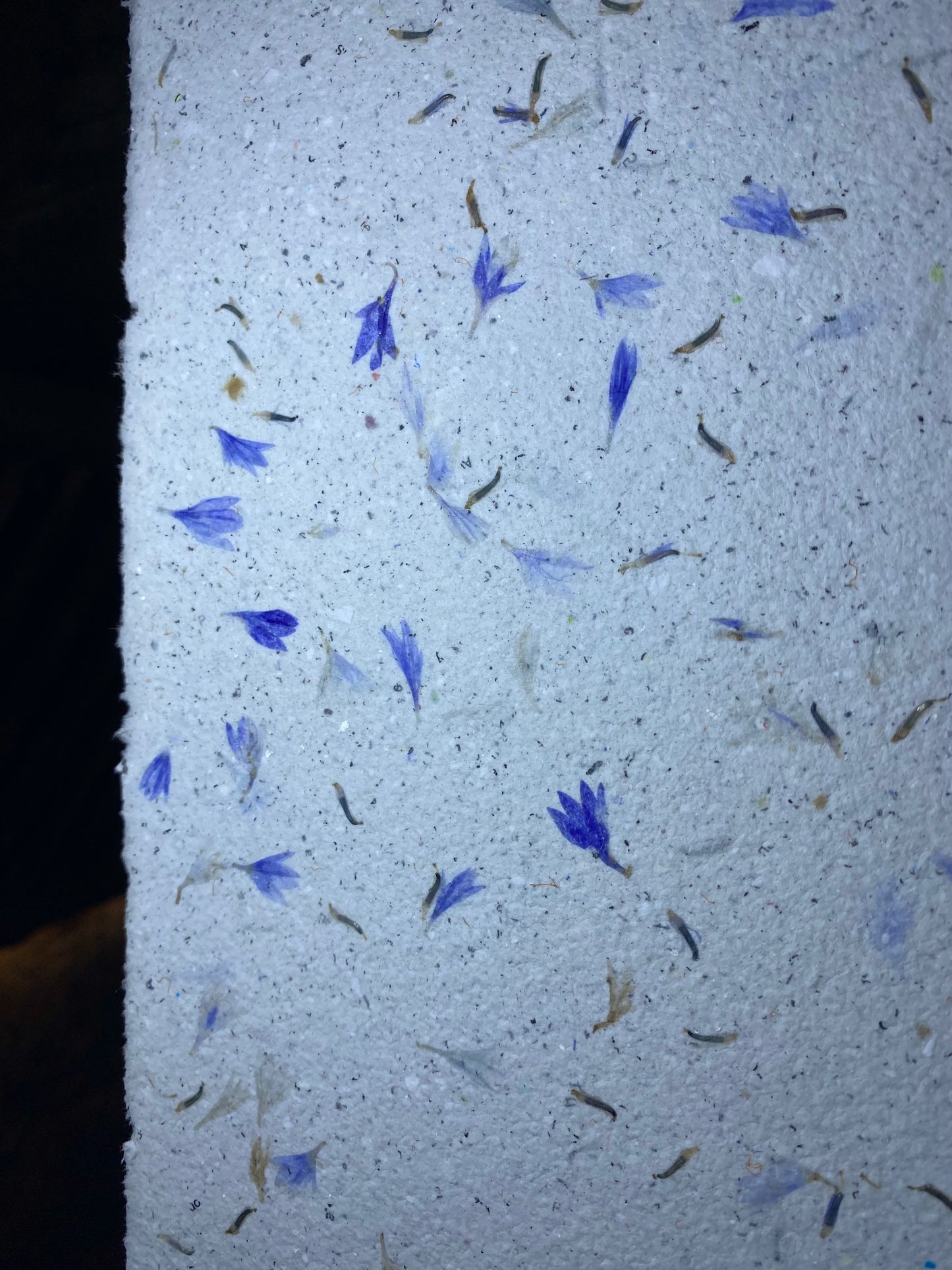 Papier Bleuet