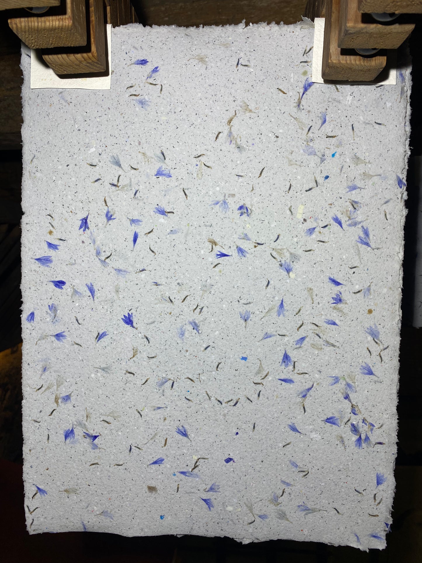 Papier Bleuet