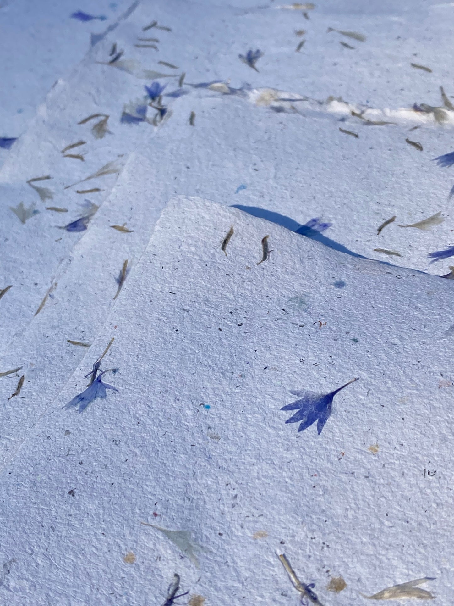 Papier Bleuet