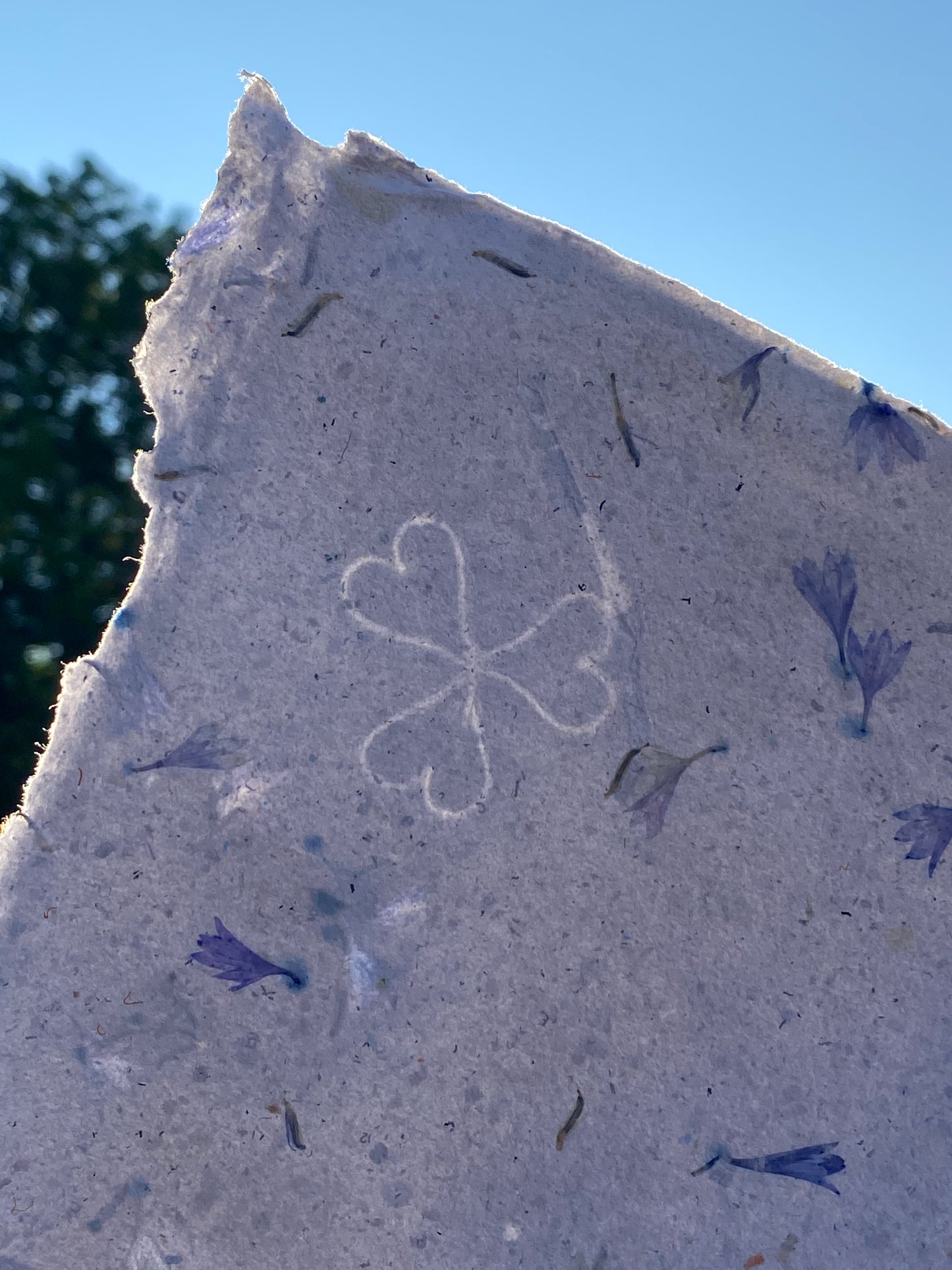 Papier Bleuet