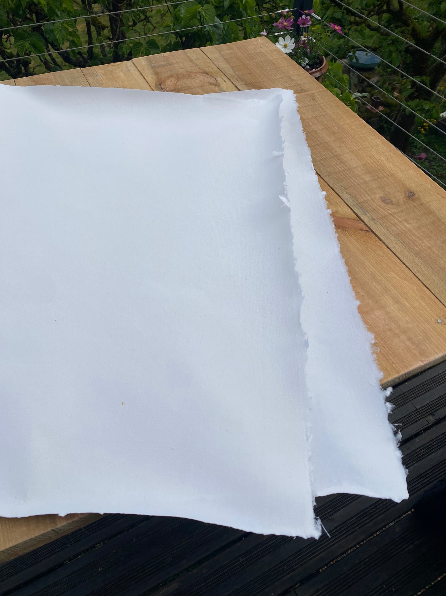 Papier pur chiffon vergé "draps anciens" (100-130 g/m²)