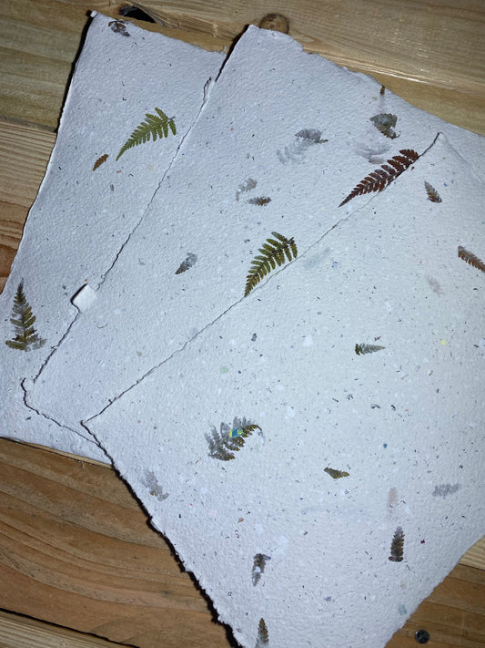 Papier Fougère