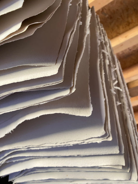 Papier pur chiffon (250-350 g/m²)