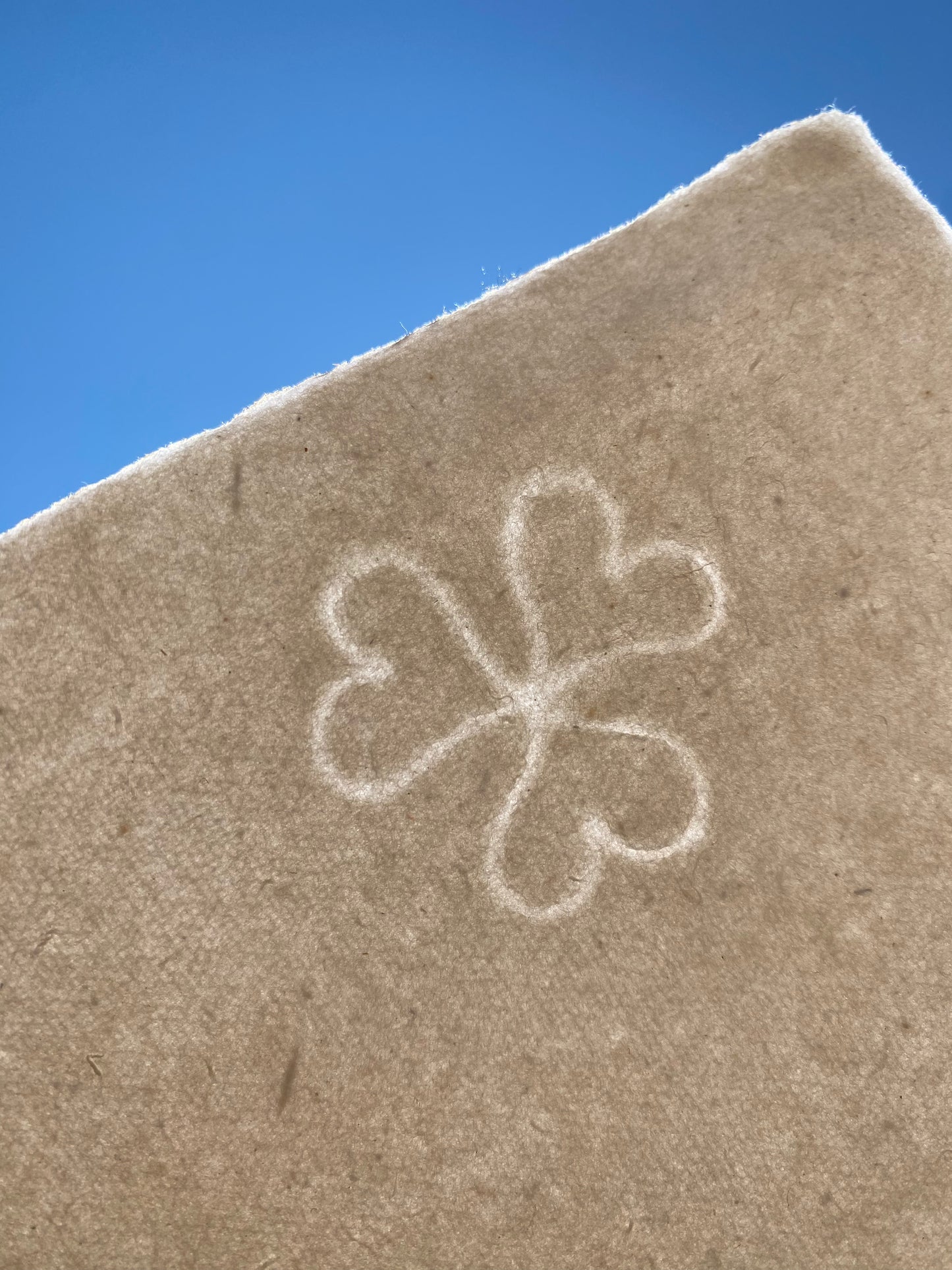 Papier pur chiffon avec embossage (250-350 g/m²)