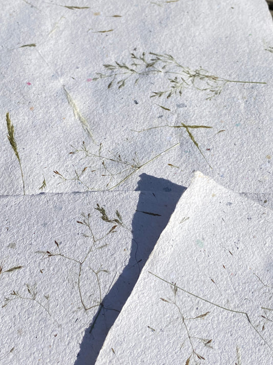 Papier Graminées