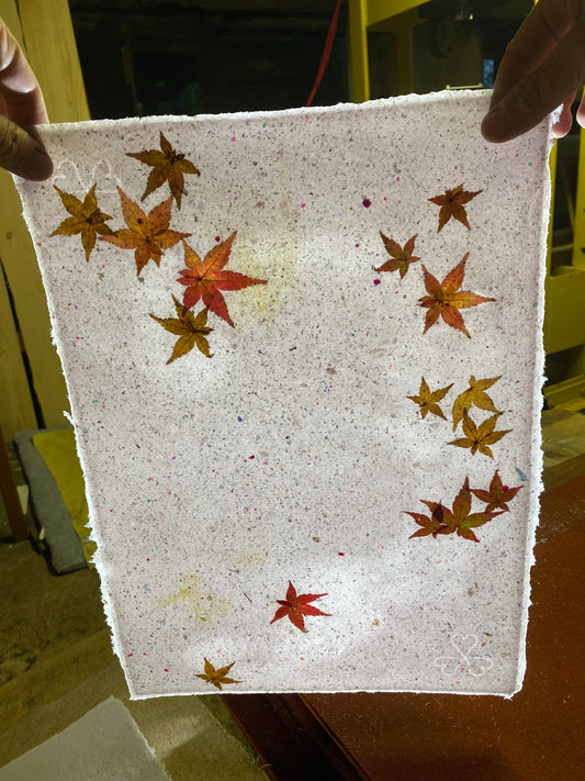 Chute de Feuilles (érable palmé du Japon)