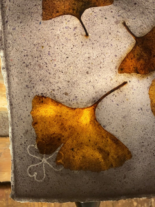 Chute de Feuilles (gingko biloba)