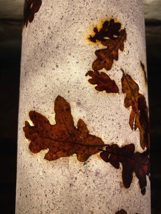 Chute de Feuilles (chêne)